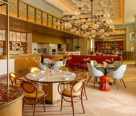 Image hover effect image